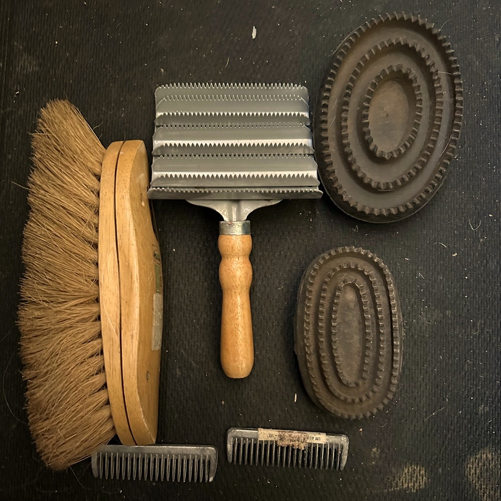 Horse brush lot